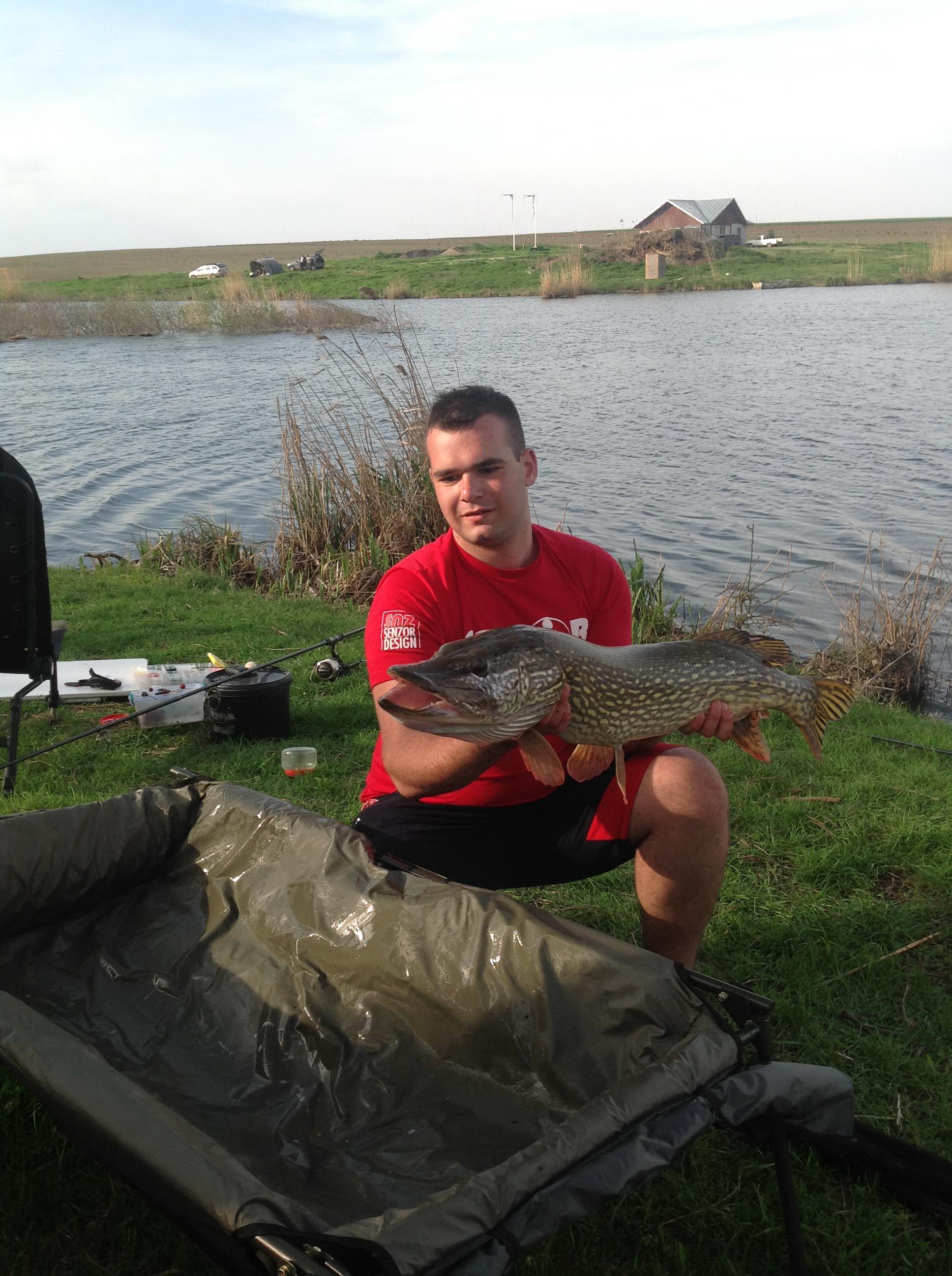 Chiroiu 4  - img1066.jpg